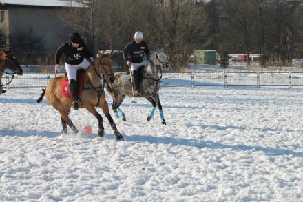 Zawodnicy Snow Polo
